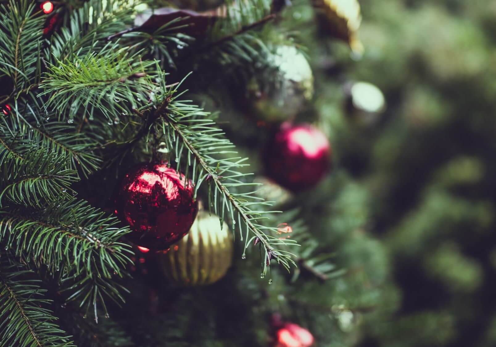 How Christmas can save your business money on tax (1)